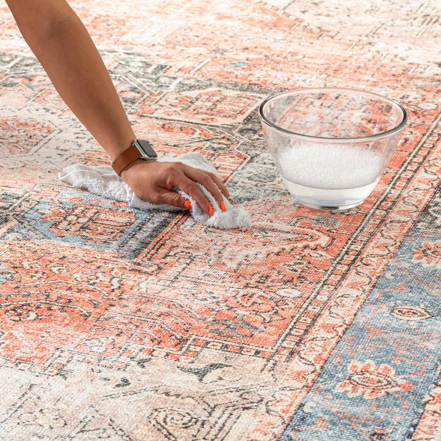 Close-up of Livabliss Amelie AML-2309 washable rug being cleaned with soap and water. Beige, pink, blue, rust colors. Texture