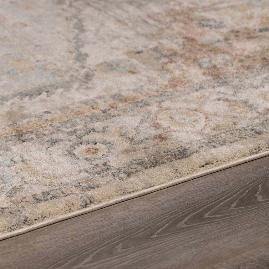 Close-up of the Vaeda Blue & Beige Thick Luxe Rug showing its beige, tan, and gray traditional pattern and soft texture. Pile