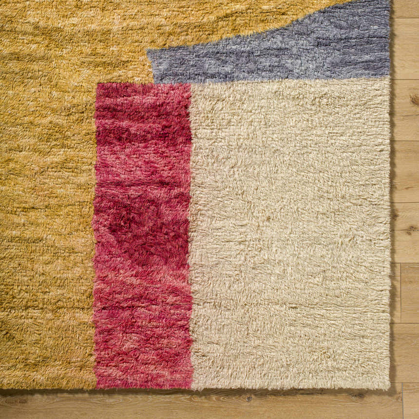 Close-up of the hand-tufted Budrys Wool Area Rug. Features brick red, camel, pearl, and gray colors in a contemporary design. Corner