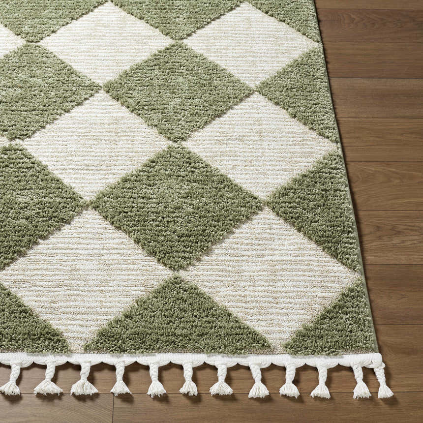 Close-up of Aitana Area Rug with cream and olive diamond pattern and tassel fringe on wood floor. Front