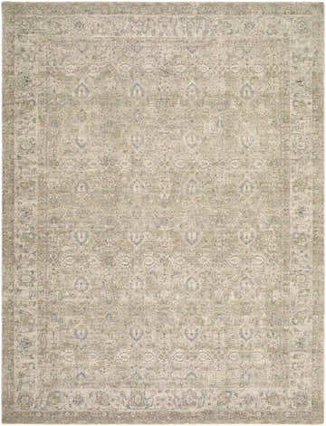Close-up of the Buddug Tan Area Rug, showcasing its traditional pattern and blend of cream, tan, green, and slate blue hues. Design-Rectangle-710102