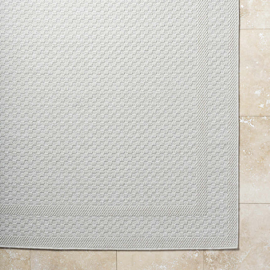 Close-up of the light silver Brinda Area Rug showing its woven texture and contemporary pattern. Corner