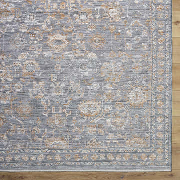 Close-up of the Bayram Area Rug, a traditional design in gray, ivory, and brown on a wood floor. Swatch