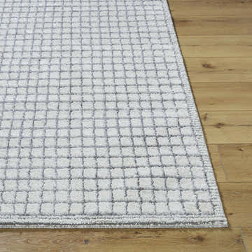 Close-up of the Balint Area Rug; charcoal and light gray grid pattern, machine-woven texture. Front