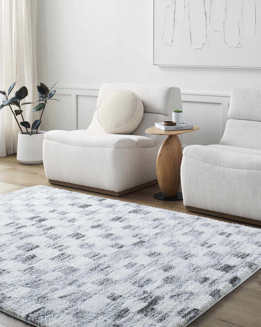 Minimalist living room with two white chairs and the gray and ivory Aneska Area Rug. Roomscene-Rectangle