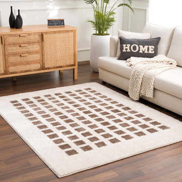 Living room scene with a Baback Brown Washable Area Rug, cream sofa, wood cabinet, and potted plant for a cozy, contemporary feel. Roomscene-Rectangle