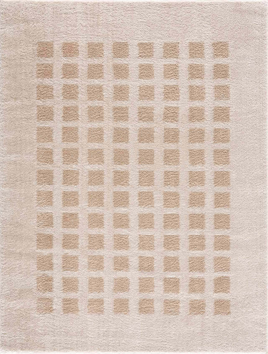 Close-up of the Baback Beige Washable Area Rug. Beige rug with a subtle square pattern in a slightly darker beige. Soft texture. Design-Rectangle-537