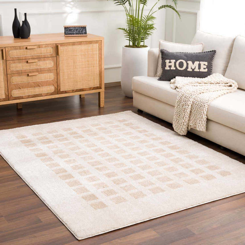 Living room scene with a Baback Beige Washable Area Rug, sofa, and wooden cabinet for a contemporary style. Roomscene-Rectangle