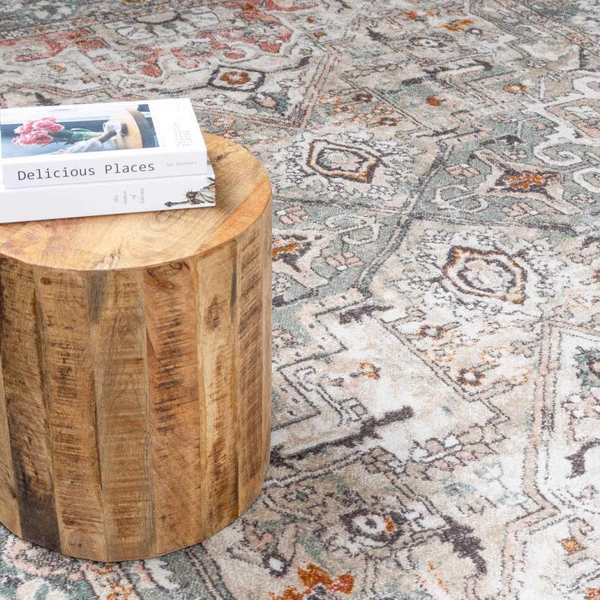 Close-up of the Bolinas Area Rug showing its traditional oriental pattern in brick red, camel, charcoal, and light gray. Styleshot