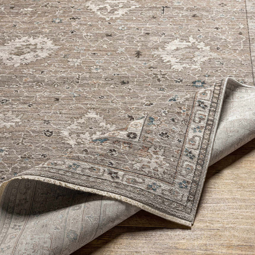 Close-up of the Bolitoc Area Rug showing its brown, ivory, and pale blue traditional oriental pattern and machine-woven texture. Fold