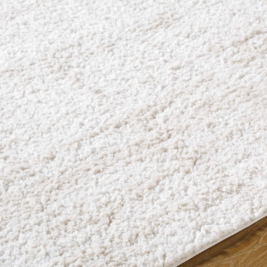 Close-up of the Bianca Area Rug, a white shag rug with a soft, textured pile on wood flooring. Texture
