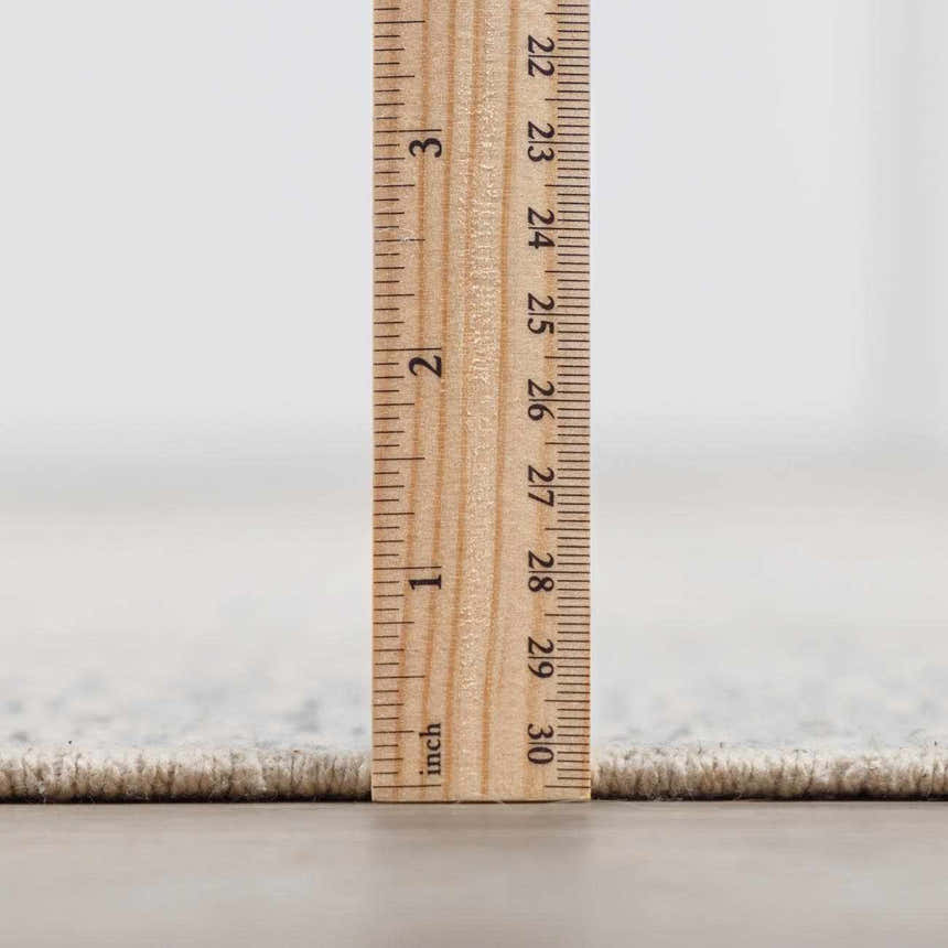 Close-up of the Brushton Area Rug showing its pile height, approximately 1 inch, with a ruler. Pile