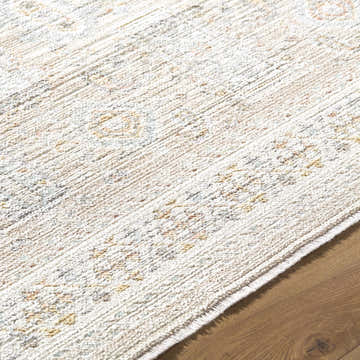 Close-up of the Fugia Beige Persian rug showing its traditional pattern and soft, textured weave. Texture