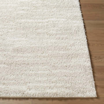 Close up of the ivory shag Benjen Area Rug showing texture and pile height. Front