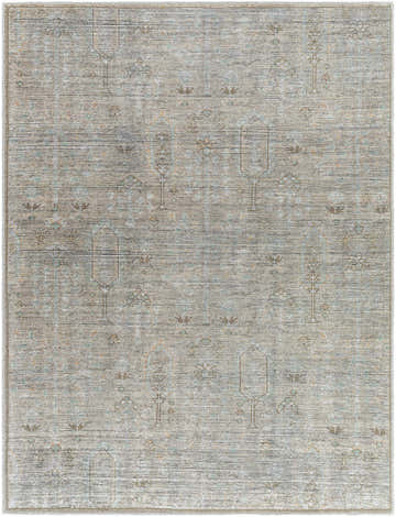 Close-up of the Aglaja Washable Area Rug. Farmhouse style rug in gray, prairie dust, and silver gray with a traditional pattern. Design-Rectangle-537
