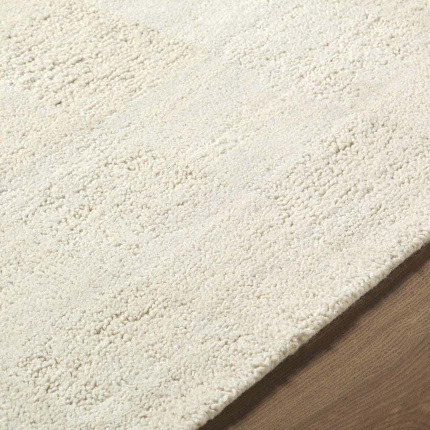 Close-up of the hand-tufted Chasya Ivory Area Rug, a 100% wool rug with a soft, textured design. Texture