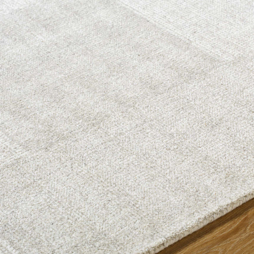 Close up of the beige Camila Area Rug showing its texture and subtle pattern. Texture