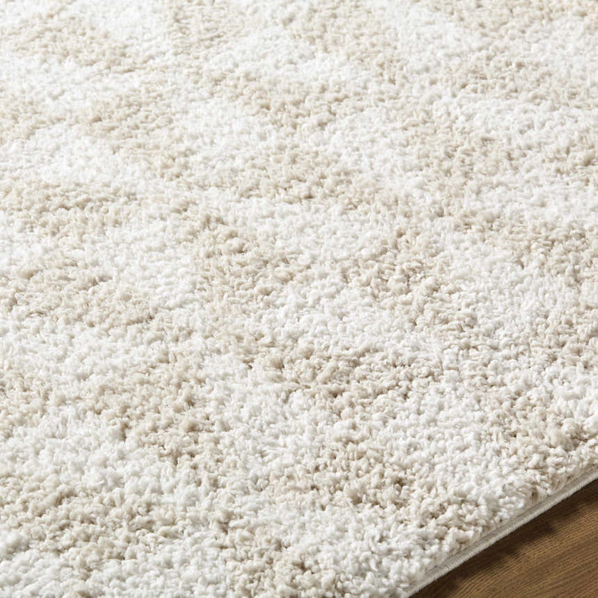 Close-up of the plush Ceylan Area Rug. Soft, shag texture in medium gray and white tones. Texture