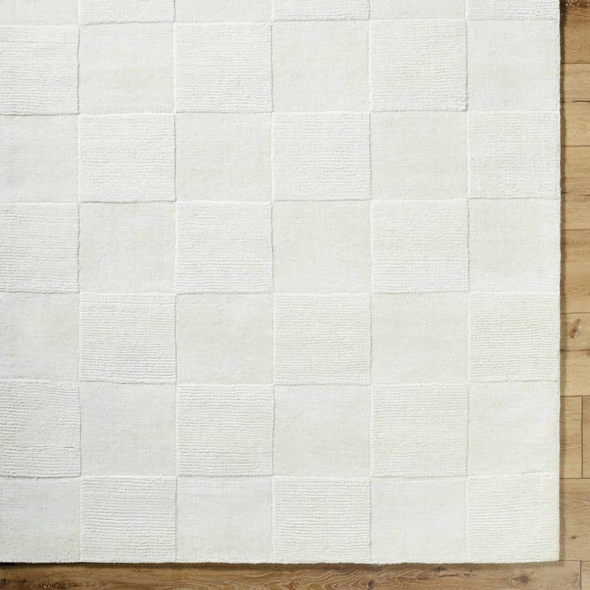 Close-up of the hand-loomed Canice Area Rug. Light silver wool rug with a subtle, textured square pattern. Farmhouse style. Swatch