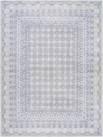 Close-up of Rainier Blue Washable Rug. Farmhouse style rug with pale blue, white, and gray traditional pattern. Design-Rectangle-5373