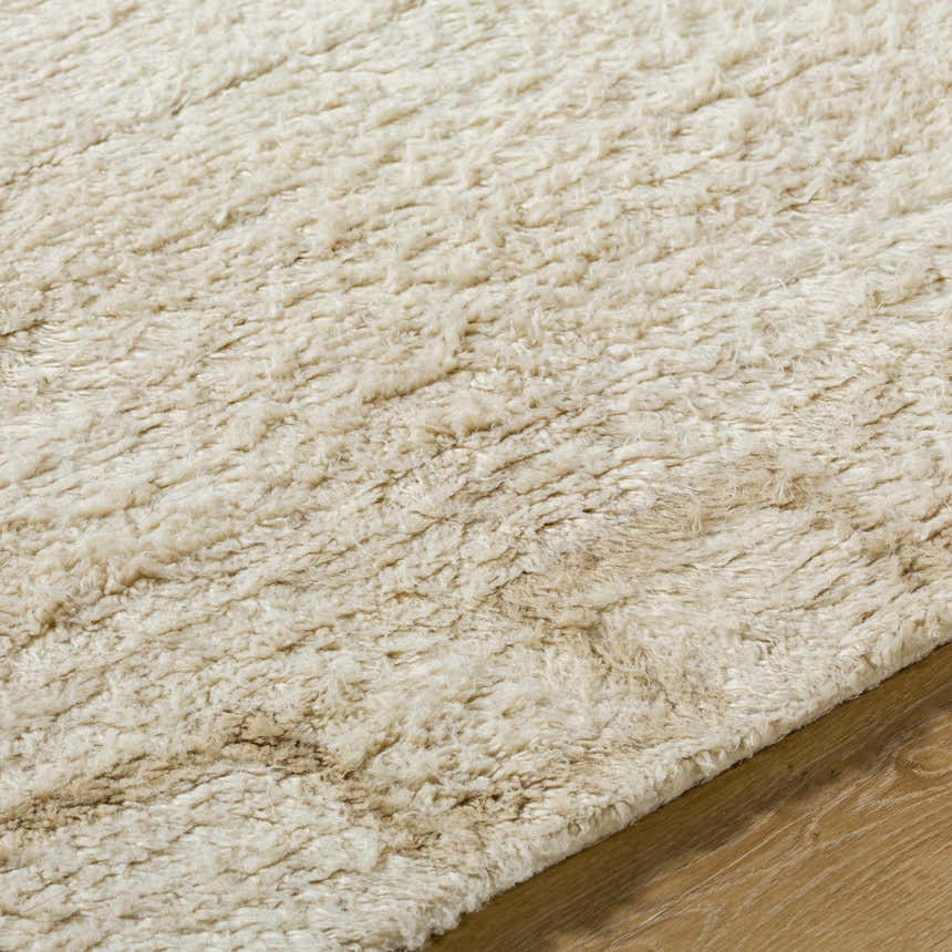 Close-up of the hand-tufted Ciniod Area Rug. The rug is 100% wool with a textured, high pile in pearl and tan colors. Texture