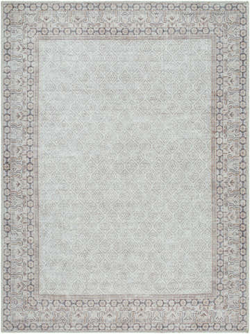 Rainier Cottage Border Beige Washable Rug, a close-up showing the farmhouse style, traditional border, and neutral colors. Design-Rectangle-5373
