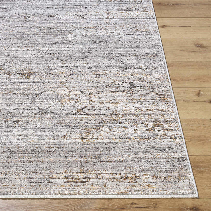 Close-up of the Cemile Area Rug showing its gray, ivory, taupe, and brown traditional pattern and soft texture. Front