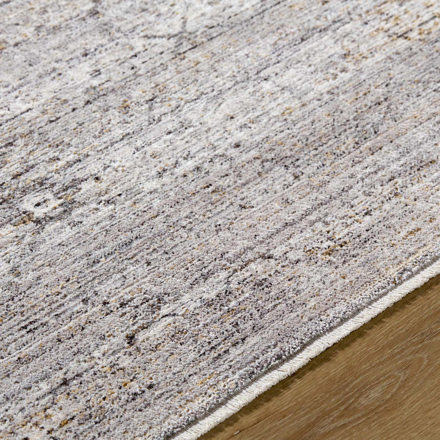 Close-up of the Cemile Area Rug showing its traditional pattern, gray, ivory, and taupe colors, and soft texture. Texture