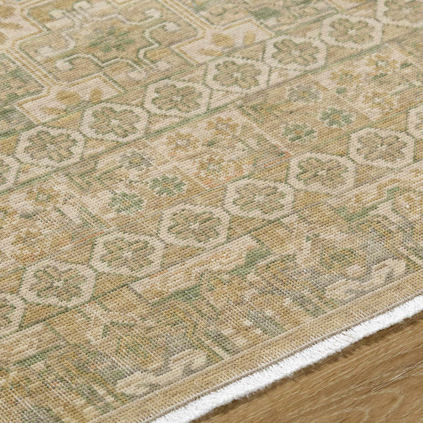 Close-up of the hand-crafted Becki Owens x Livabliss Renaissance BORI-2304 area rug. Beige, olive, and tan traditional pattern. Texture