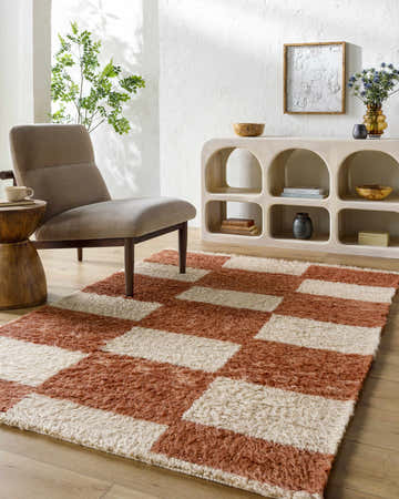 Entryway with a brick red and camel Coleka Area Rug. Contemporary style with a chair and console table. Roomscene-Rectangle