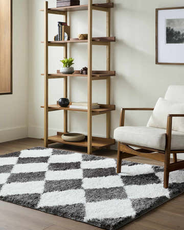 Living room scene with a charcoal and cream Celine Area Rug, wood chair, and bookshelf. Roomscene-Rectangle
