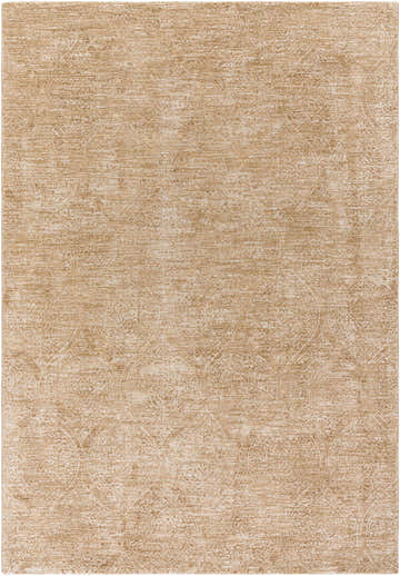 Close-up of the Cariel Beige Area Rug showing its traditional, tan, and prairie dust colors and woven texture. Design-Rectangle-6796