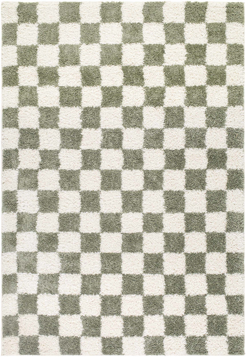 Close-up of the Castagnito Area Rug. Machine woven rug with a green and white checkerboard pattern. Contemporary style. Design-Rectangle-537
