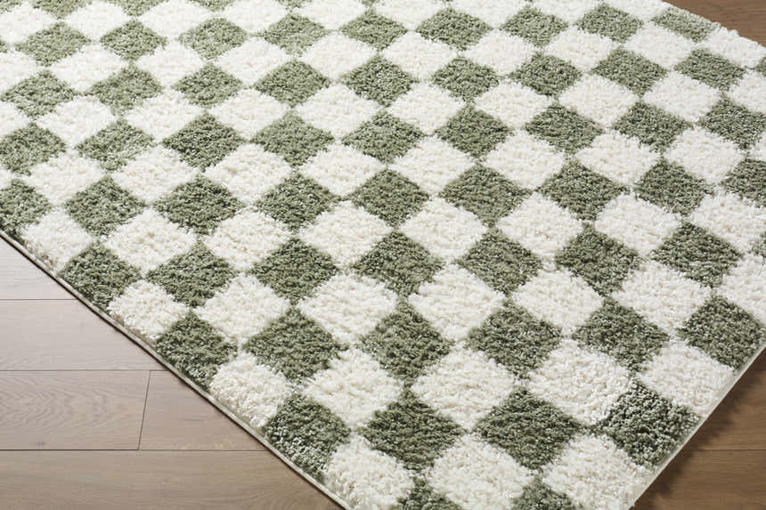 Close-up of the Castagnito Area Rug. Features a diamond pattern in white and soft green with a plush, textured pile. Corner