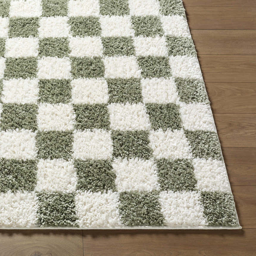 Close-up of the Castagnito Area Rug, a plush shag rug with a green and white checkerboard pattern on hardwood floors. Front