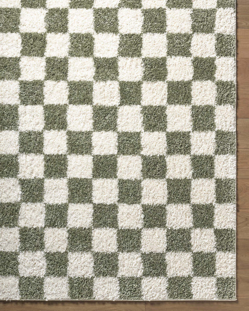 Close-up of the Castagnito Area Rug. Features a contemporary checkerboard pattern in cream and sage green. Soft, textured pile. Corner