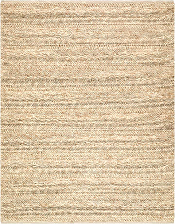 Close-up of the hand woven Ctadqe Beige Stripe Wool Area Rug, showing texture and medium brown stripes. Design-Rectangle-810