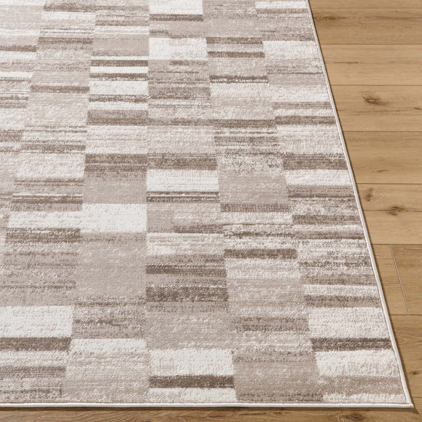 Close-up of the Cherie Light Brown Area Rug. Contemporary design with light silver, sage, and silver gray blocks. Front