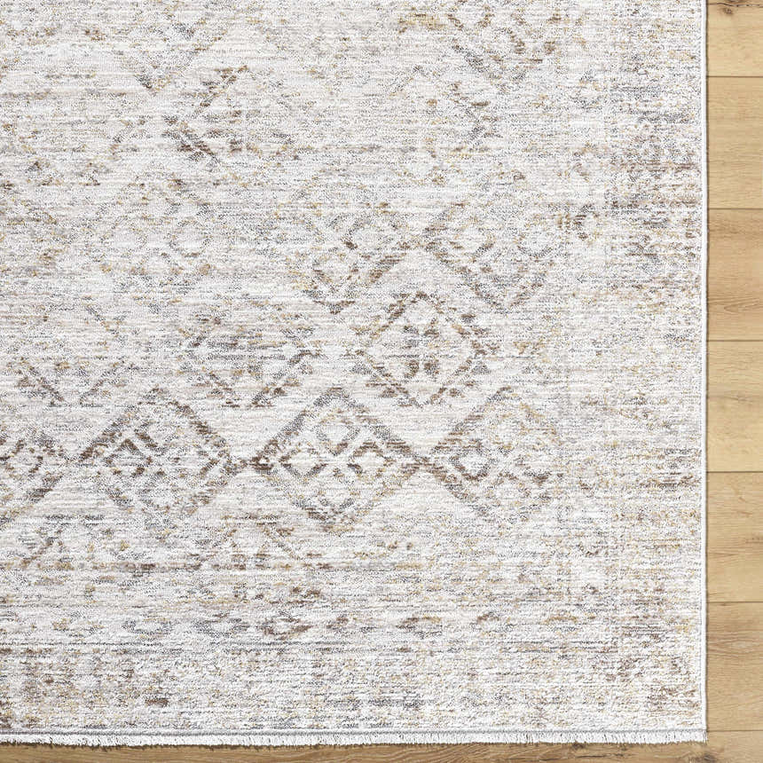Close up of the Cadell Area Rug showing its beige, ivory, and taupe traditional pattern and soft texture. Swatch
