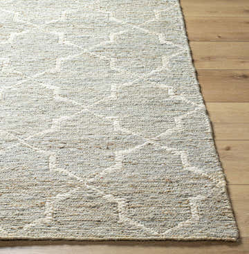 Close-up of the beige and gray Damawato Jute Carpet showing the hand woven texture and geometric pattern. Front