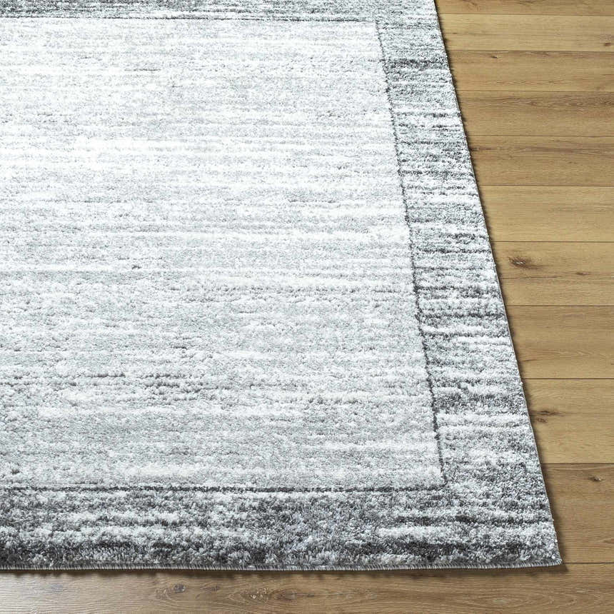 Close-up of the Dhaval Black Area Rug showing its charcoal, light gray colors, and soft, textured pile. Front