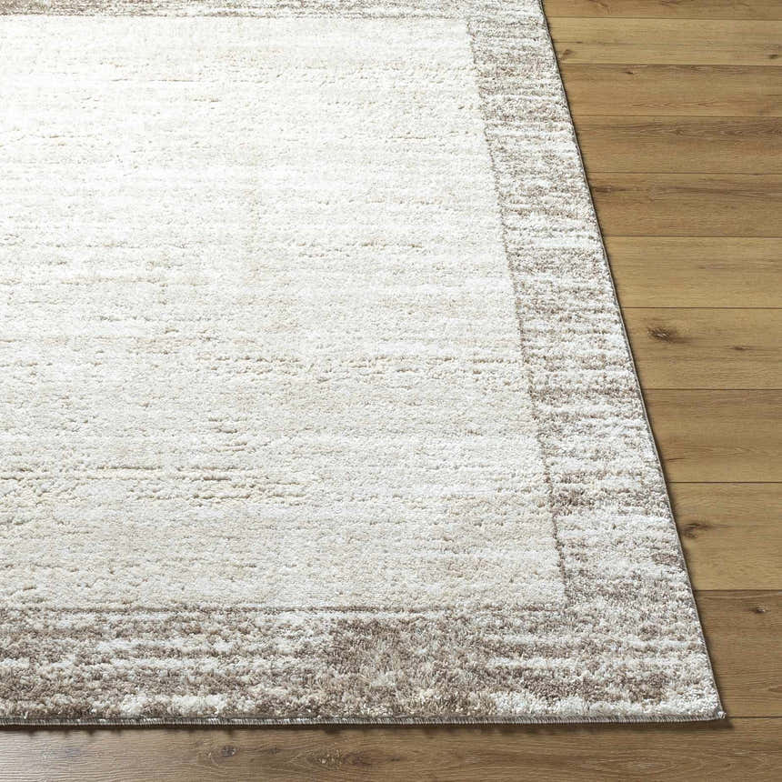 Close-up of the Dhaval Ivory Area Rug showing its cream color, light brown border, and soft texture on a wood floor. Front