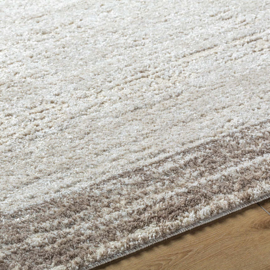 Close-up of the Dhaval Ivory Area Rug showing its cream, ivory, and light brown textured design. Texture