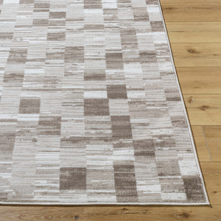Close-up of the Alagan Light Brown Area Rug showing its contemporary geometric pattern and neutral colors. Front