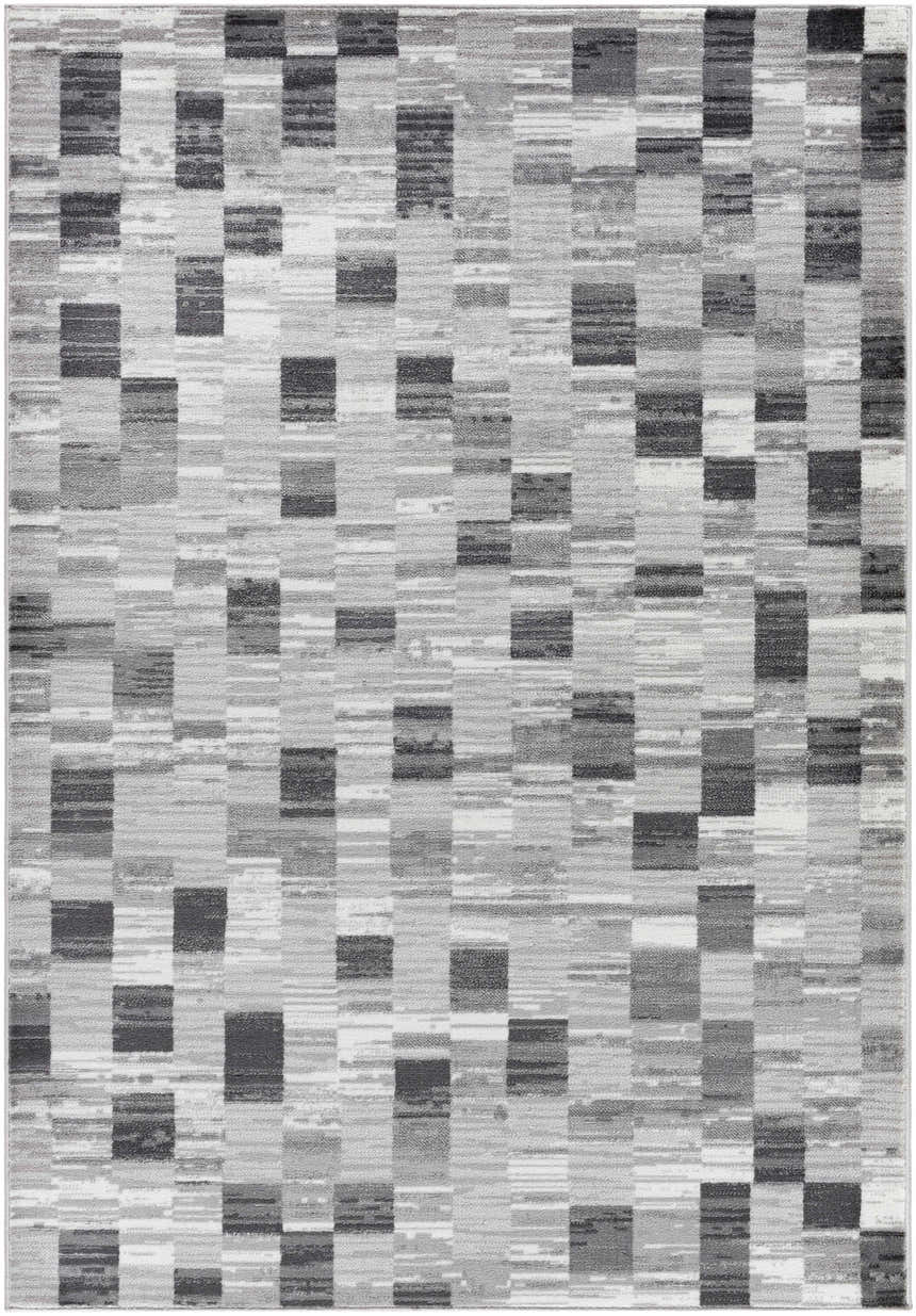 Close-up of Alagan Medium Gray Area Rug. Contemporary design with light silver, sage, and silver gray tones. Design-Rectangle-5373