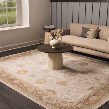 Living room scene with beige Elloree Traditional rug, sofa, and round coffee table. Neutral tones create a cozy, modern farmhouse vibe. Roomscene-Rectangle
