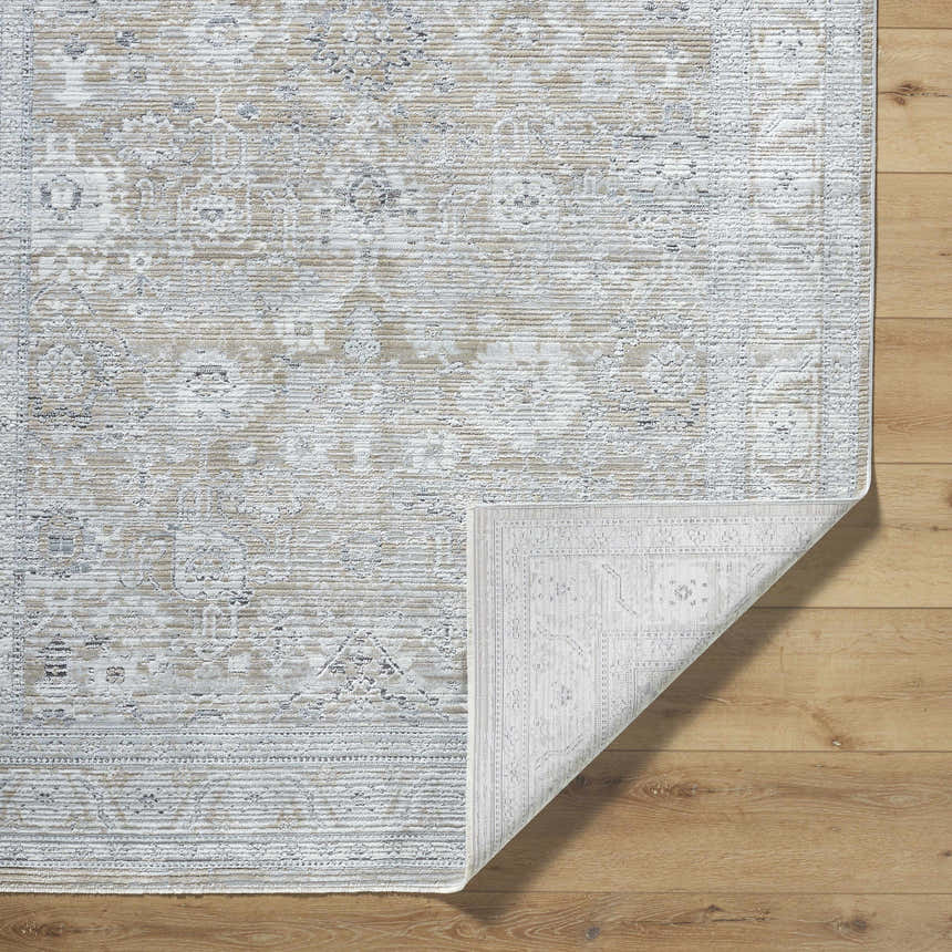 Close-up of the Alexia Light Gray Area Rug showing its traditional design, light gray, charcoal, and medium gray colors. Fold