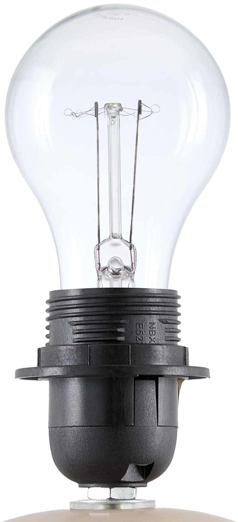Ferrandina Coral Table Lamp
