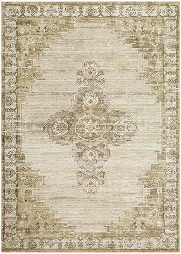 Close-up of the Felice Area Rug, a farmhouse style rug with a traditional beige and brown floral pattern. Design-Rectangle-679
