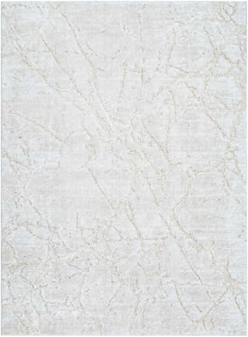 Close-up of the Genkei Light Gray Area Rug, featuring a subtle beige and ivory abstract pattern and soft texture. Design-Rectangle-5373